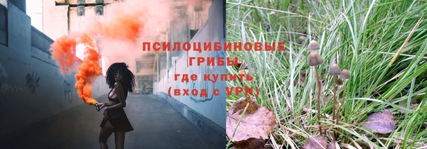 ешки Новокубанск