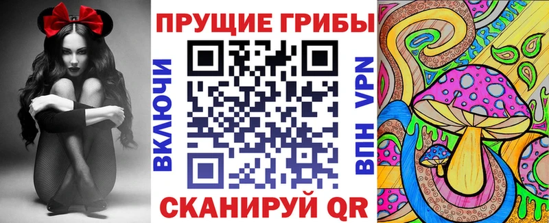Галлюциногенные грибы MAGIC MUSHROOMS  Тихвин 