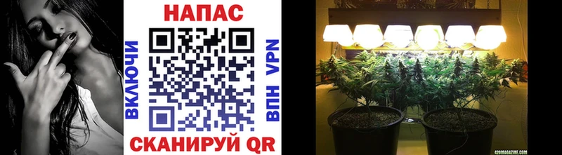 Конопля конопля  Тихвин 